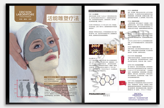 項(xiàng)目：企業(yè)宣傳畫冊(cè) 行業(yè)：信息管理