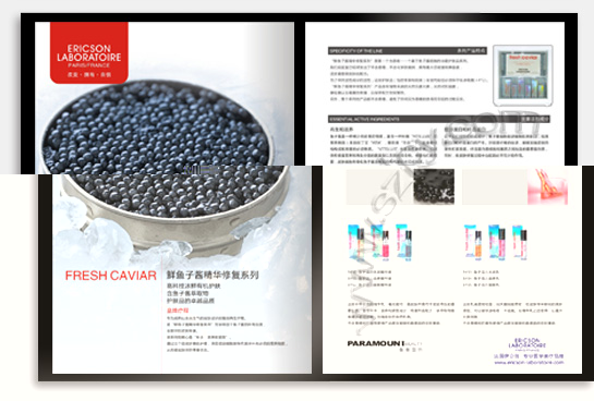 項(xiàng)目：企業(yè)宣傳畫冊(cè) 行業(yè)：信息管理